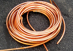 copper toxicity can occur from pipes in your house and business.