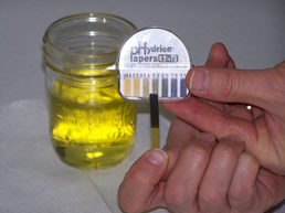 heavy metal testing urine pH